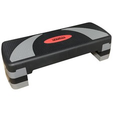 SportsExperts Fitness Stepper