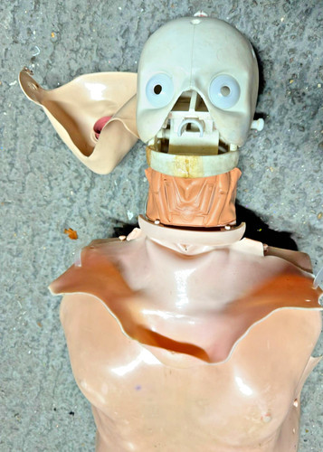 Laerdal resusci anne hlw - anne,