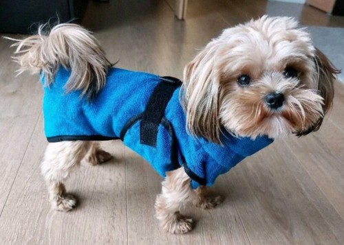 Furminator furdry hunde - ⭐️,