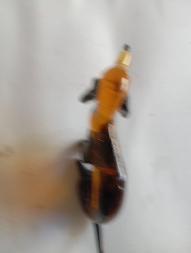 Niedlicher dackel aus - niedlicher,