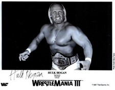 HULK HOGAN/Wrestling -
