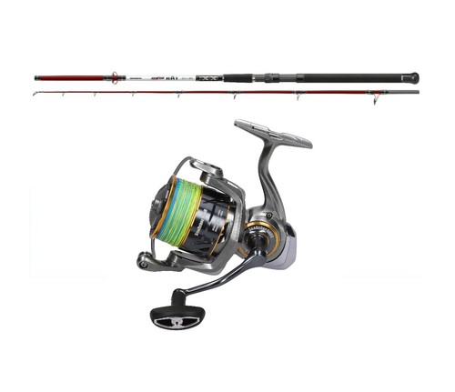 Pilkcombo cormoran seacor bat - cormoran,