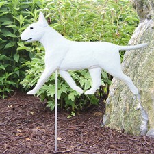 Bull terrier outdoor garten - bull,