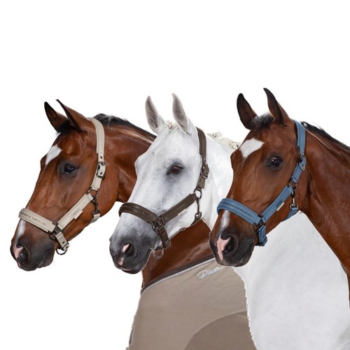 Eskadron platinum halfter mit - halfter,