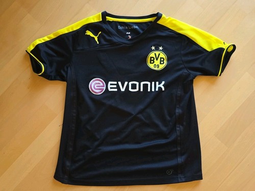 Borussia dortmund 2013 home - borussia,