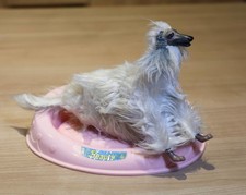 alter Barbie Hund Afghane