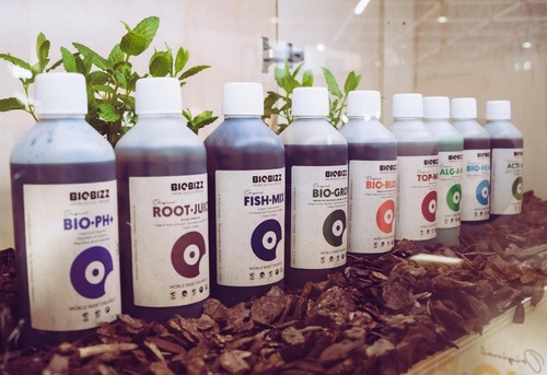Biobizz biogrow biobloom top - biobizz, biogrow-biobloom-top