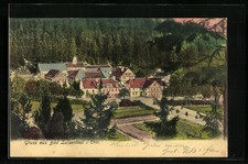 Ansichtskarte Bad Luisenthal i. Thür., Ortsansicht aus der Vogelschau 1907 