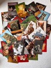 Konvolut / Lot - Katzen