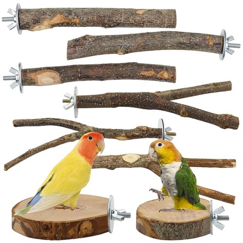 Vogelspielzeug holz - vogelspielzeug,