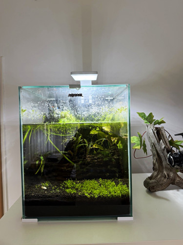 Aquarium cube 30l - cube,