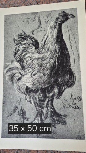 Richard müller huhn - richard, "huhn"
