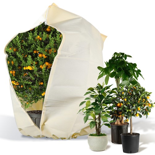 Winterschutz für pflanzen - winterschutz,
