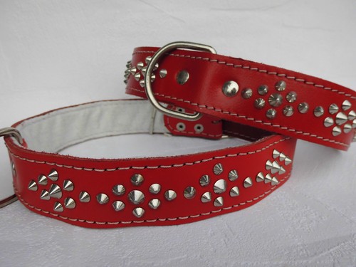 Halsband halsumfang - halsband,