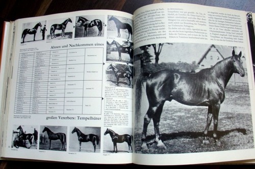 Mythos trakehnen geschichte - *,