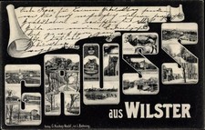 Buchstaben Ak Wilster in Holstein, Gruß, Ortsansichten, Kuh - 10564821