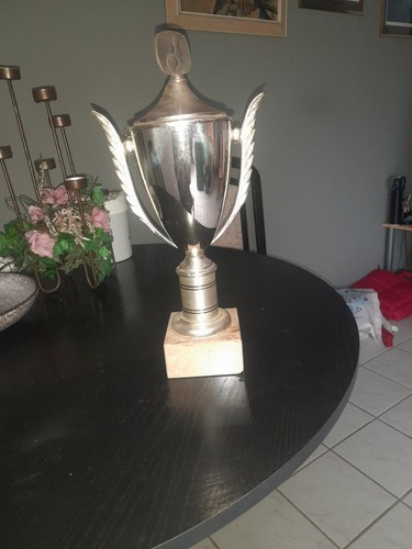 Pokal