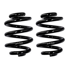 Fahrwerksfedern-Set hinten Ø