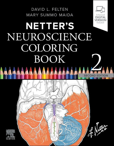 Netter neuroscience coloring - neuroscience,