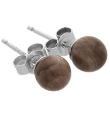 Versteinertes Holz Ohrstecker