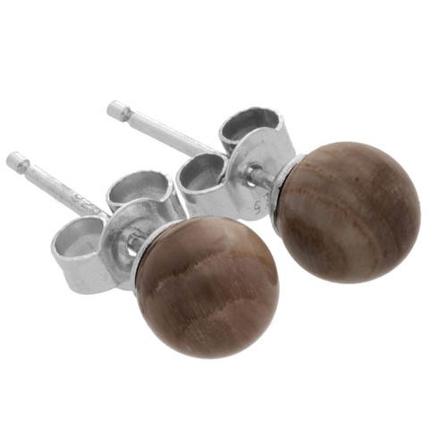 Versteinertes holz ohrstecker - versteinertes,