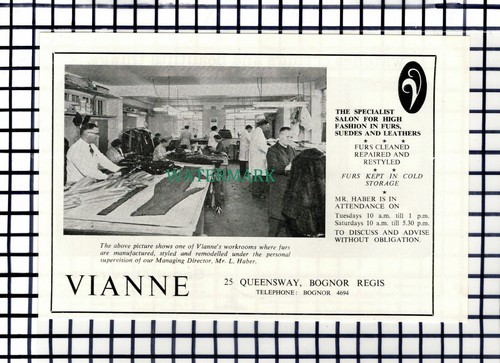C7361 vianne furs bognor - vianne,