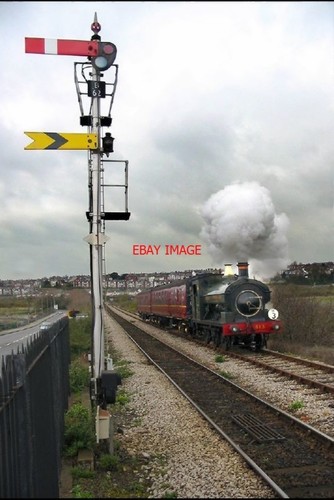 Foto barry damm sattelpanzer - foto,