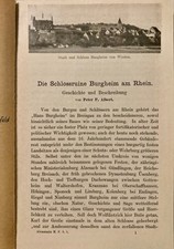 Die Schlossruine Burgheim am