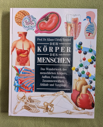 Der körper des menschen - körper,