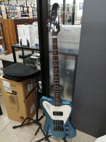 Gibson non reverse thunderbird - non-reverse,