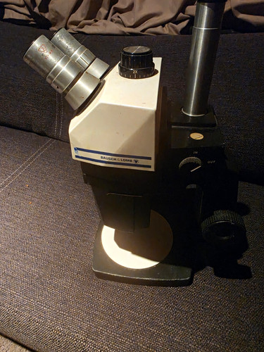 Bausch lomb - &,