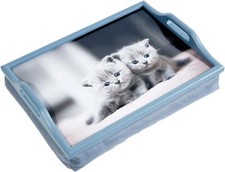 Aidapt Holz Knietablett mit Kissen, Kätzchen