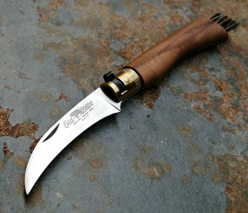Antonini old bear mushroom - antonini,