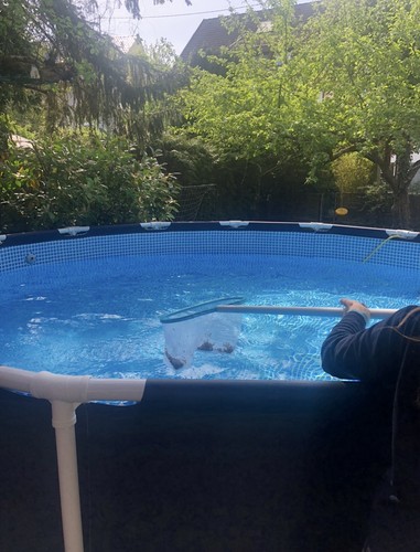Intex frame pool 457x122 - frame,