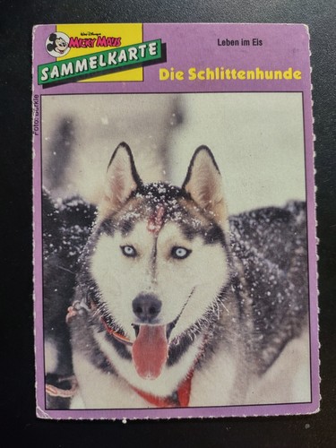 Stück sammelkarte micky - stück,