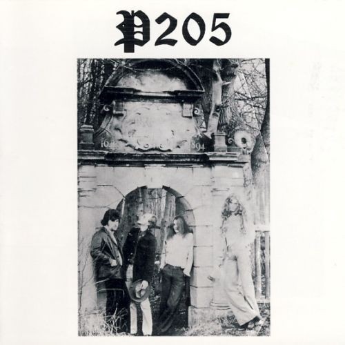 P2o5 the pre vinyl - the, d