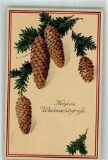 39995113 - Fichtenzapfen