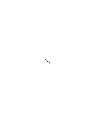 Datalogic optisches messgitter - datalogic,