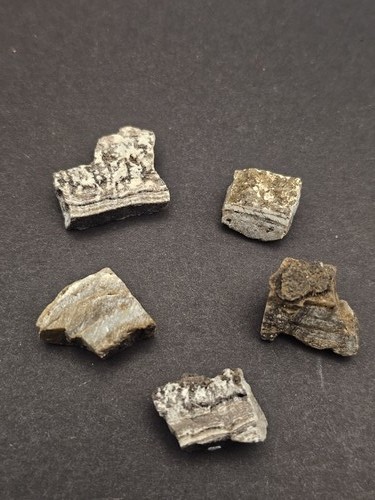 Kommode formation stromatolith - kommode,
