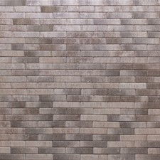 Pflasterstein mit Fase | Muschelkalk | 10x20x6cm | Für Ihre Terrasse o. Auffahrt