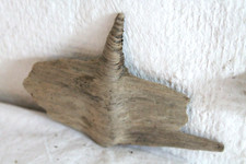 Schwemmholz Treibholz Skulptur