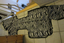 BUSSE Ausreitdecke Exercise