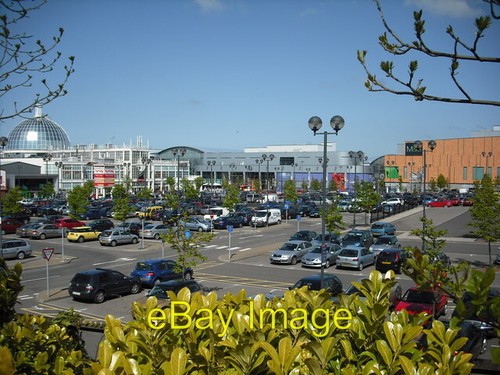 Foto 6x4 livingston - foto,