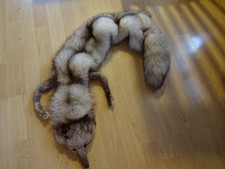 Silberfuchs Pelzstola