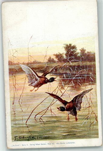 39438816 flugenten verlag - -,