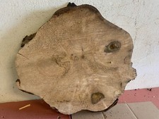 Baumscheibe, Holzscheibe