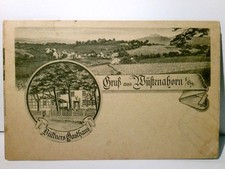 Wüstenahorn bei Coburg. Alte