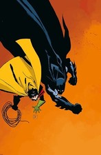 Batman dark victory neue - batman:,