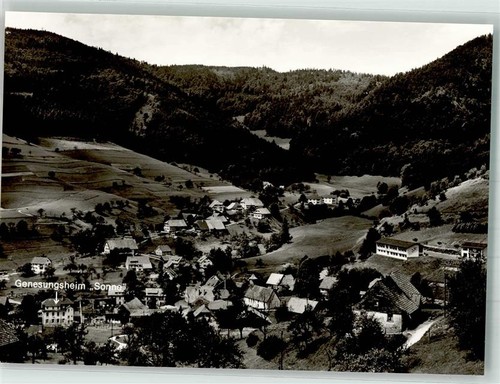38019276 7841 marzell - 38019276,
