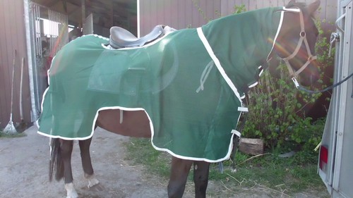 Busse ausreitdecke moskito - ausreitdecke,